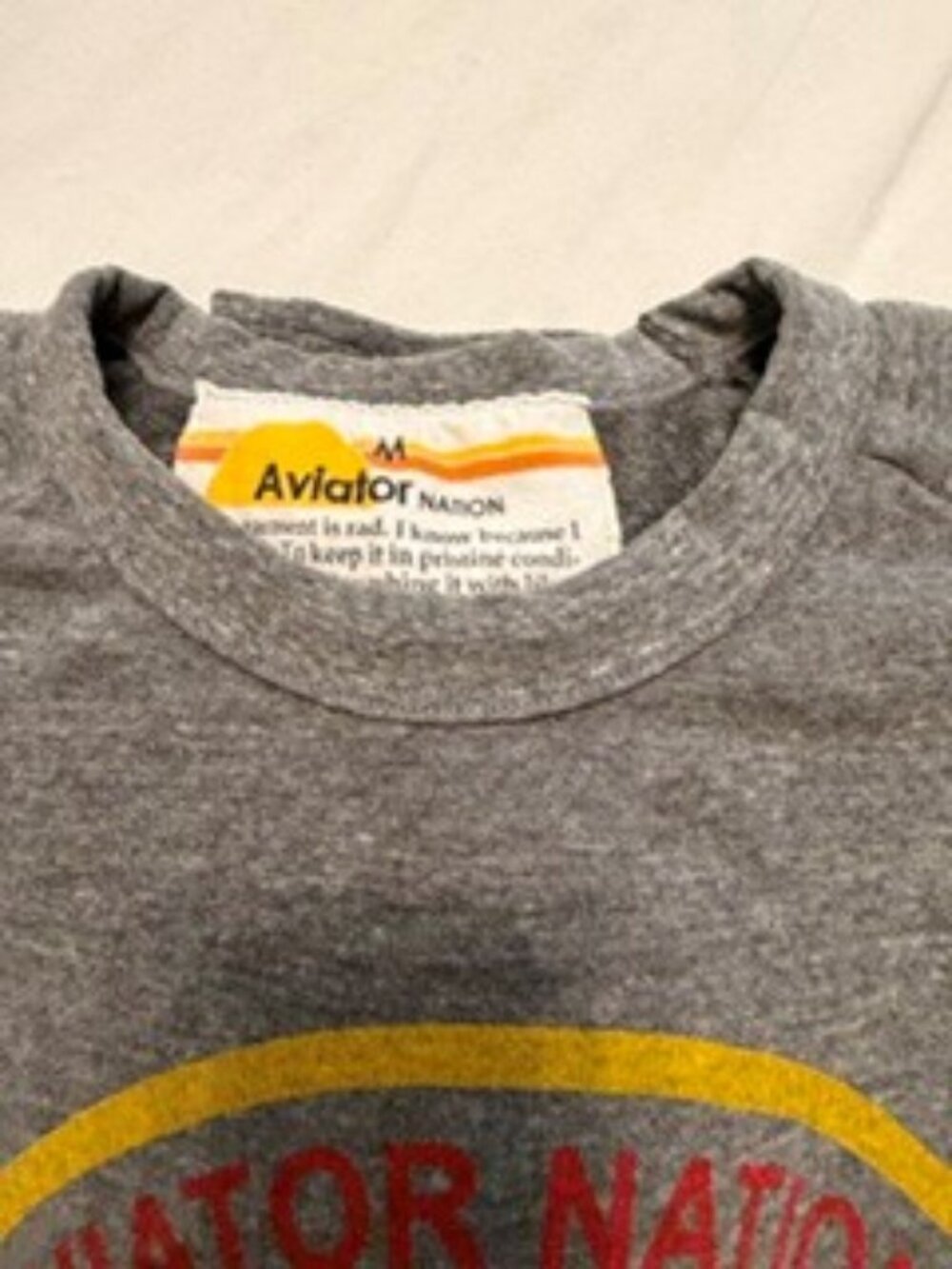 Aviator Nation Relaxed Venice Crew Sweatshirt - Picture 2 of 4